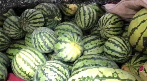 免费吃瓜怎么找,揭秘如何轻松获取免费瓜果盛宴 第3张 免费吃瓜怎么找,揭秘如何轻松获取免费瓜果盛宴 第3张