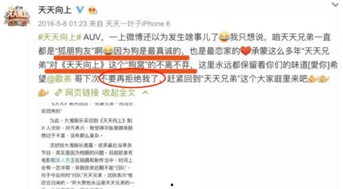 娱乐圈爆料421页内容,揭秘明星幕后真相与情感纠葛